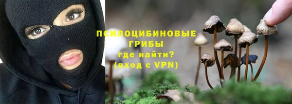 ГАЛЛЮЦИНОГЕННЫЕ ГРИБЫ Арсеньев