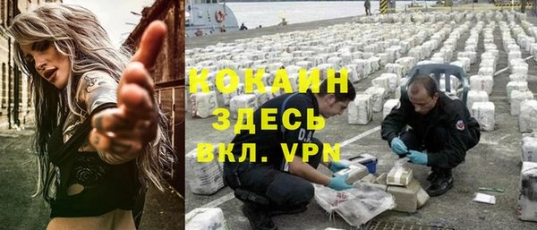 a pvp Аркадак