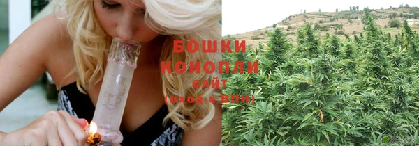 a pvp Аркадак