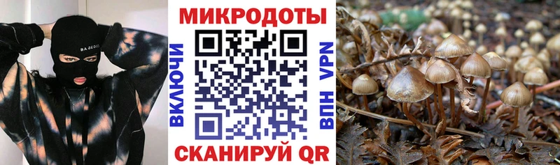 Галлюциногенные грибы Psilocybe Купить Новая Ляля